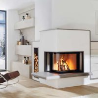 Heizkamin für Zuhause vom Ofenbauer Senemann in der Steiermark kaufen